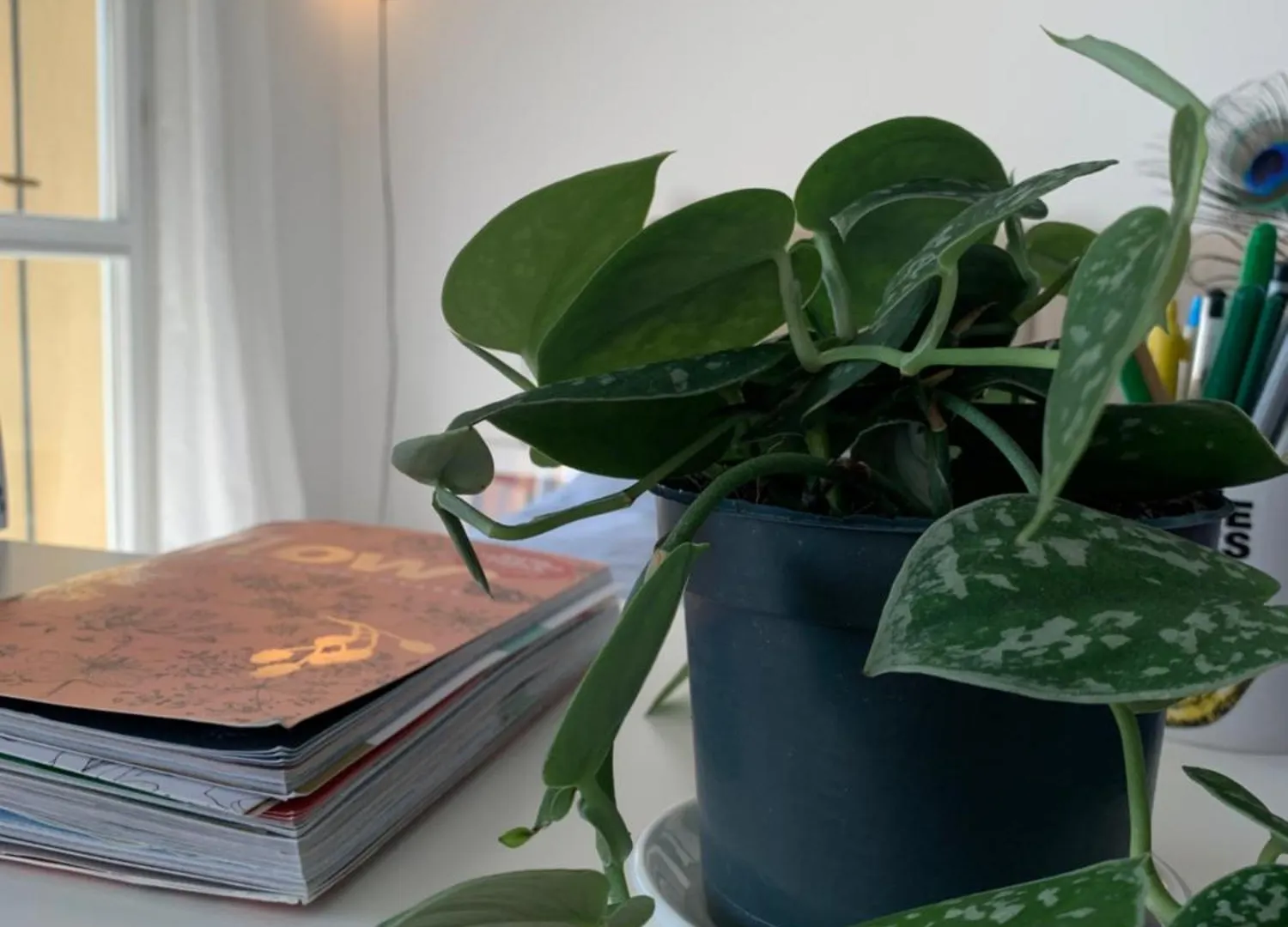 Cozy Studio Apartment Bologna Italia