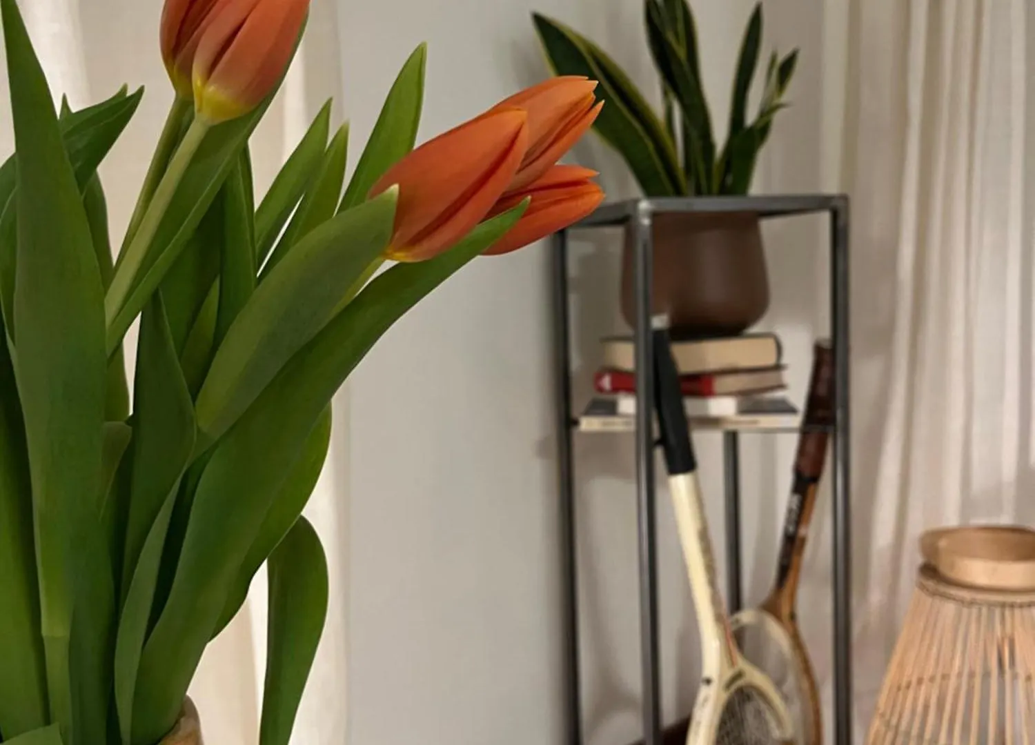 Cozy Studio Apartment Bologne Italie